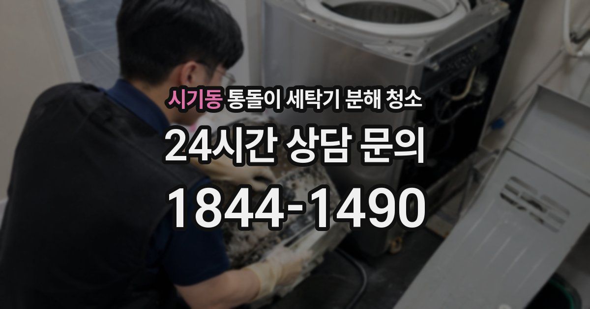 시기동 통돌이 세탁기 분해 청소