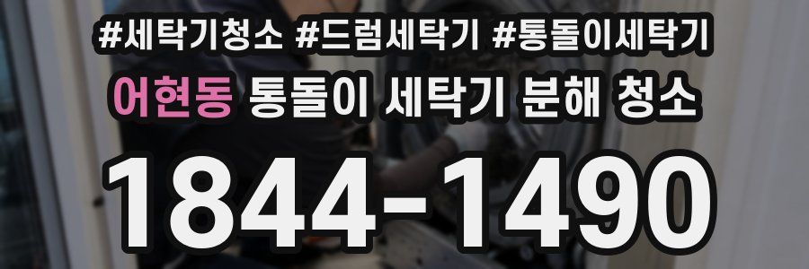 어현동 통돌이 세탁기 분해 청소