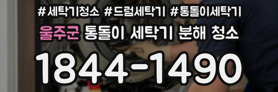 울주군 통돌이 세탁기 분해 청소