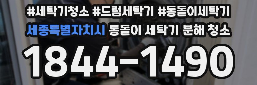 세종특별자치시 통돌이 세탁기 분해 청소