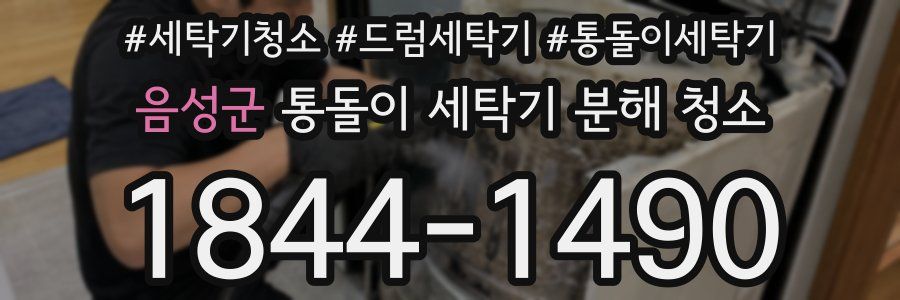 음성군 통돌이 세탁기 분해 청소