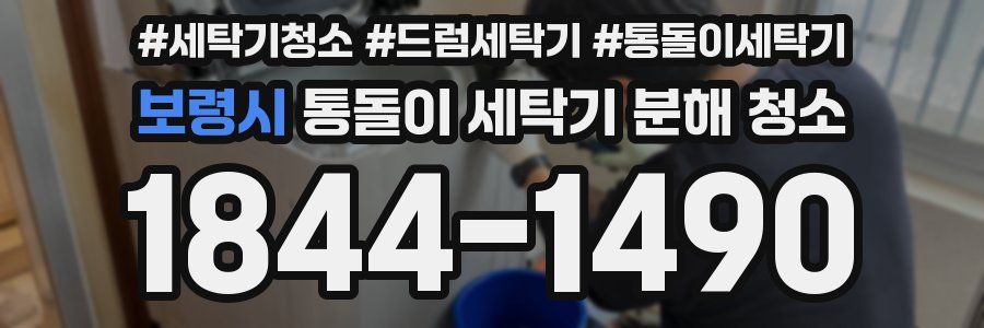 보령시 통돌이 세탁기 분해 청소