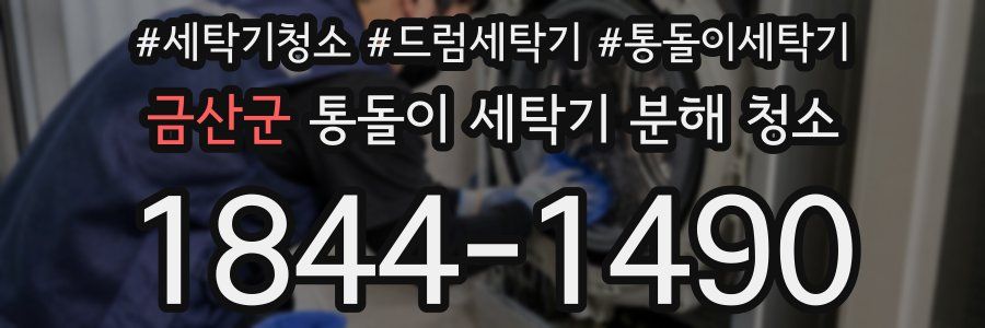 금산군 통돌이 세탁기 분해 청소