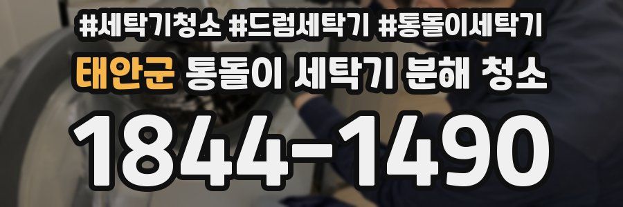 태안군 통돌이 세탁기 분해 청소