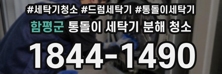 함평군 통돌이 세탁기 분해 청소