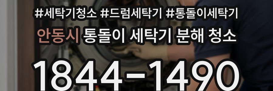 안동시 통돌이 세탁기 분해 청소