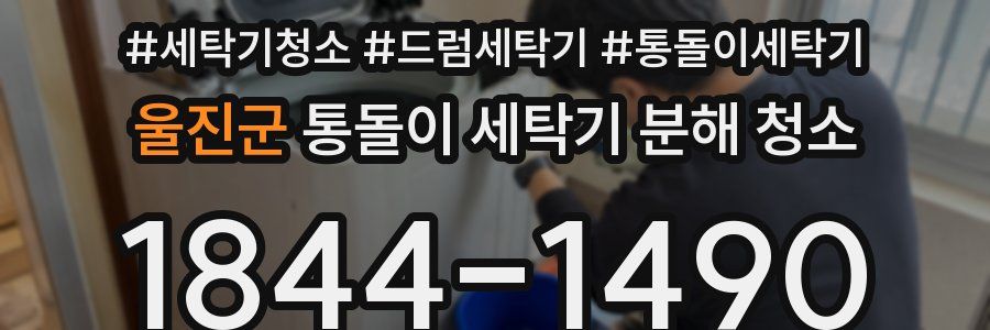 울진군 통돌이 세탁기 분해 청소