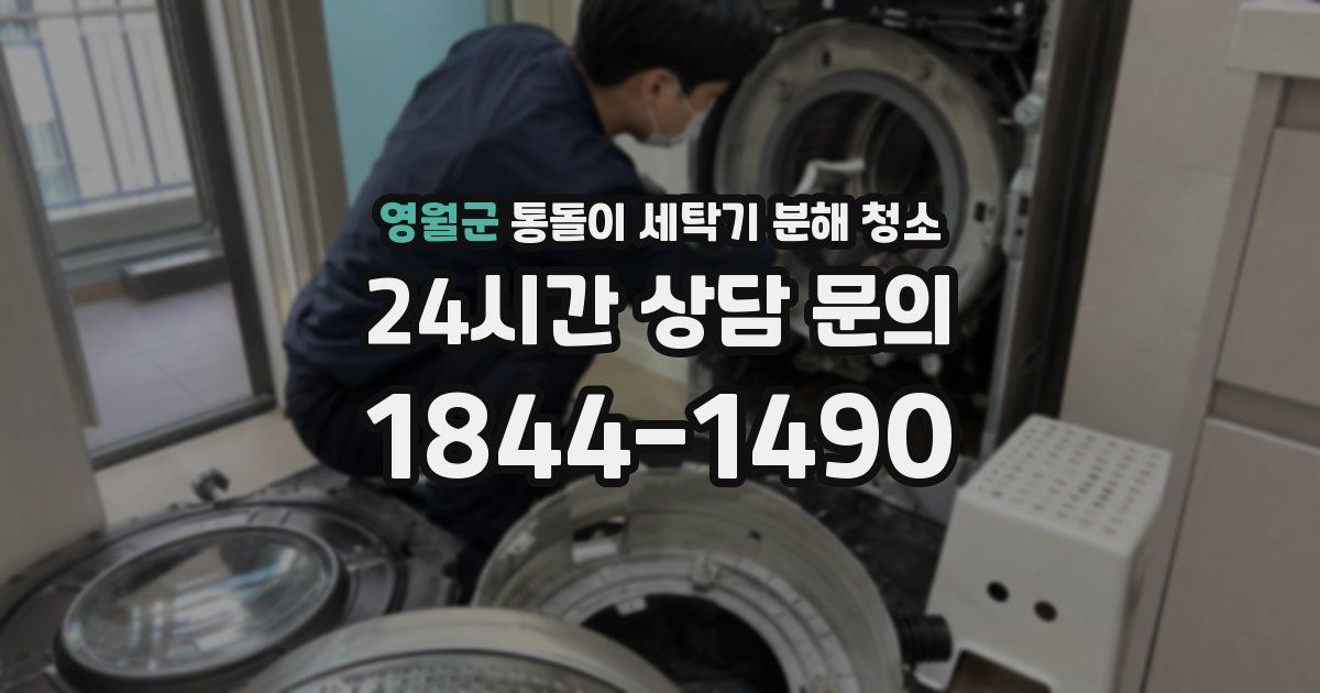 영월군 통돌이 세탁기 분해 청소
