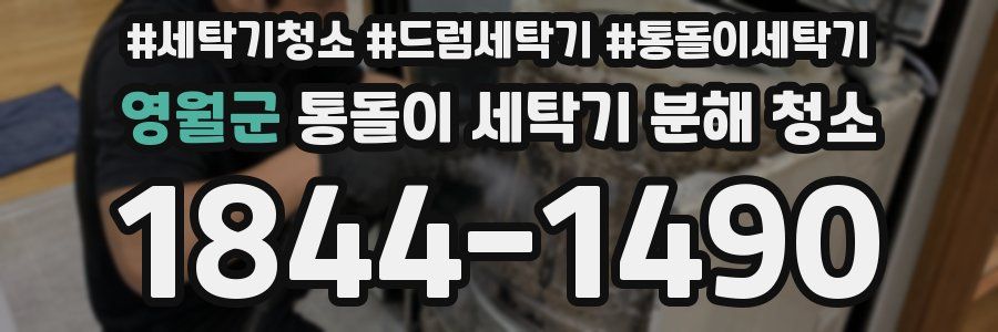 영월군 통돌이 세탁기 분해 청소