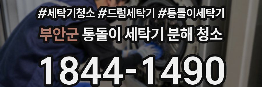 부안군 통돌이 세탁기 분해 청소