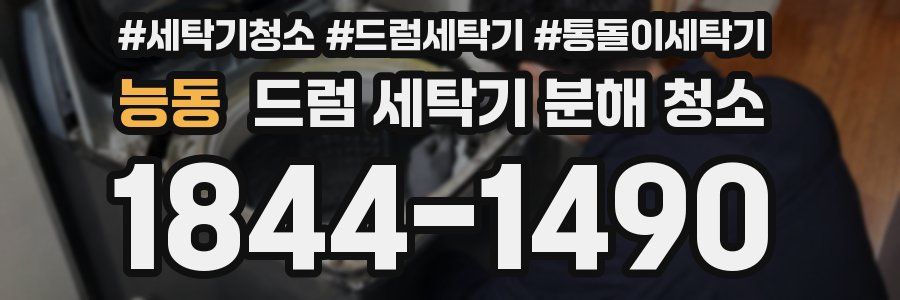 능동 드럼 세탁기 분해 청소