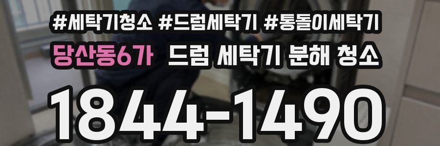 당산동6가 드럼 세탁기 분해 청소