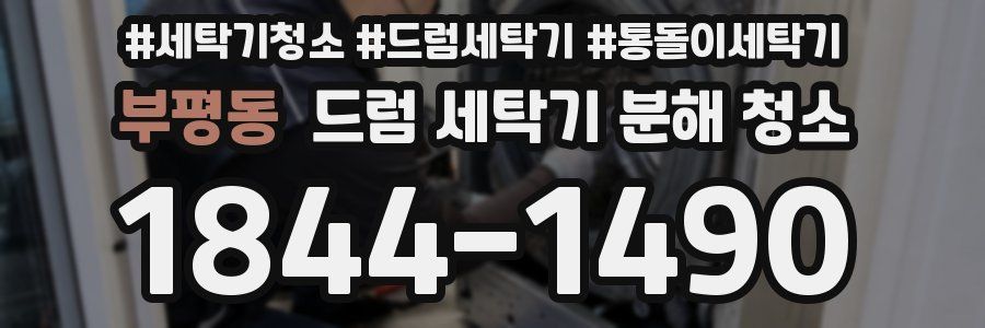 부평동 드럼 세탁기 분해 청소