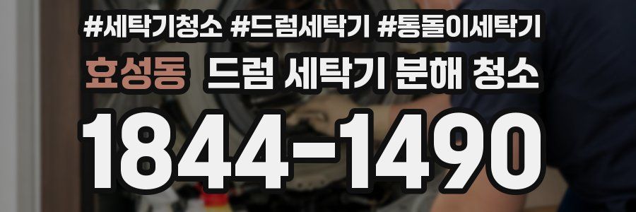효성동 드럼 세탁기 분해 청소