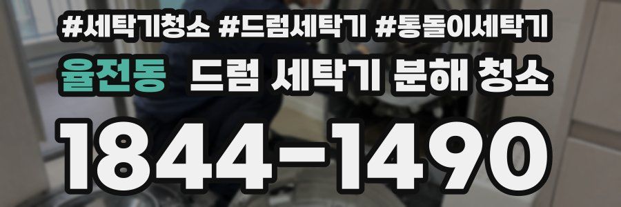 율전동 드럼 세탁기 분해 청소