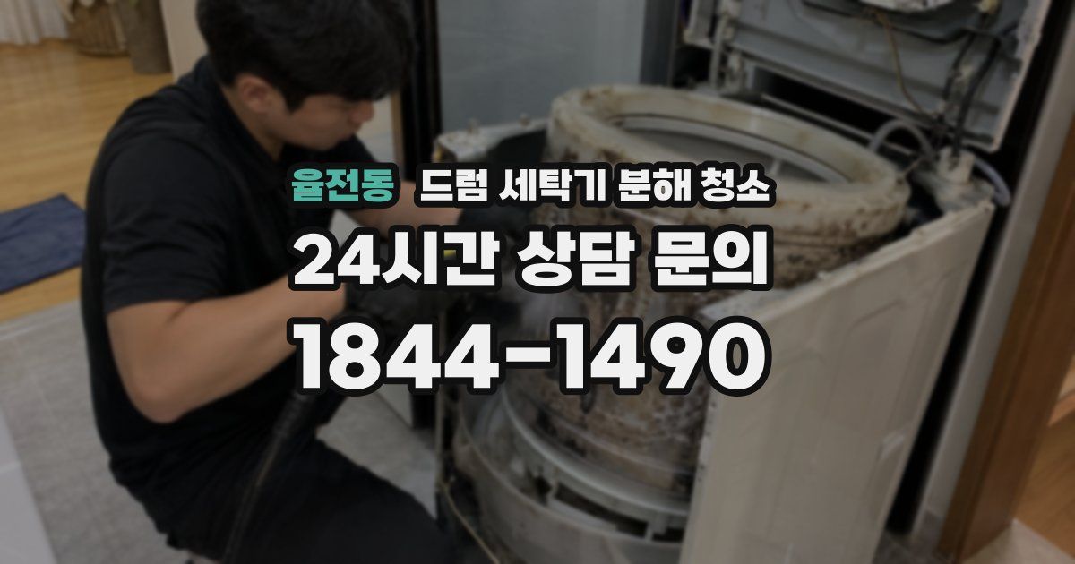 율전동 드럼 세탁기 분해 청소