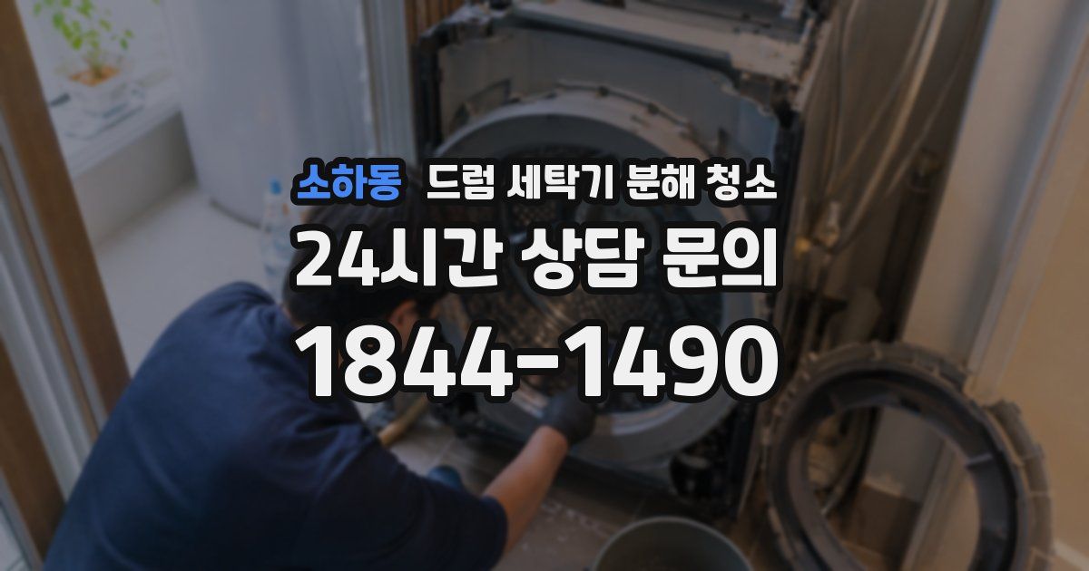 소하동 드럼 세탁기 분해 청소
