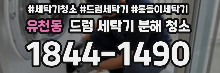 유천동 드럼 세탁기 분해 청소