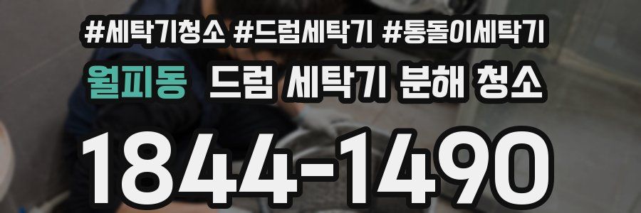 월피동 드럼 세탁기 분해 청소