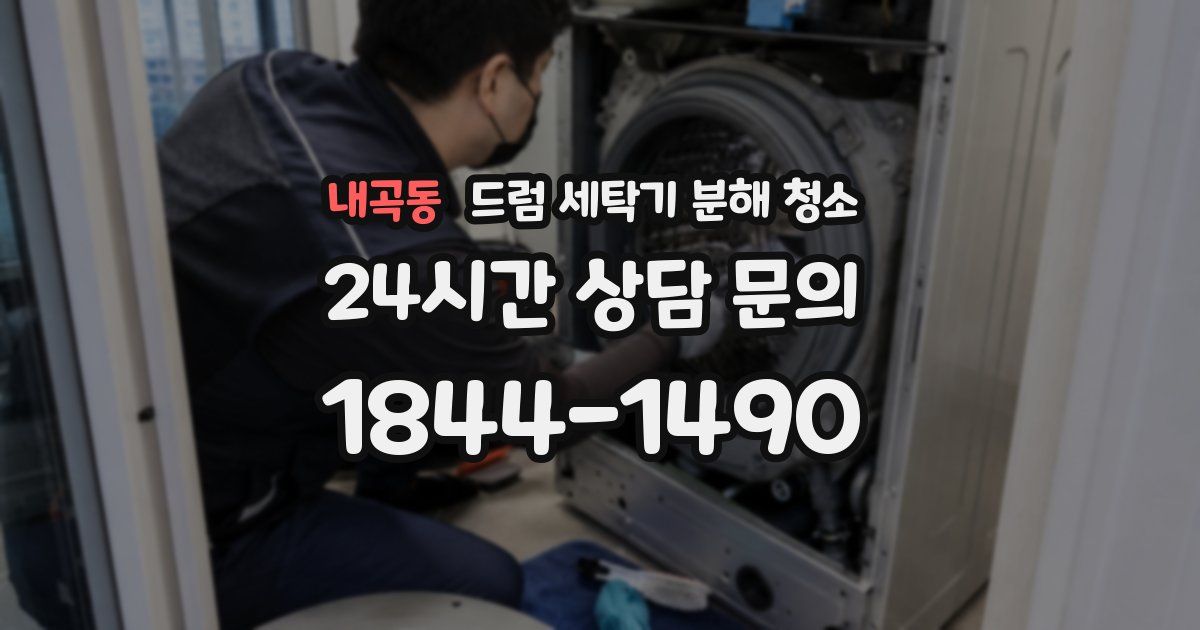 내곡동 드럼 세탁기 분해 청소