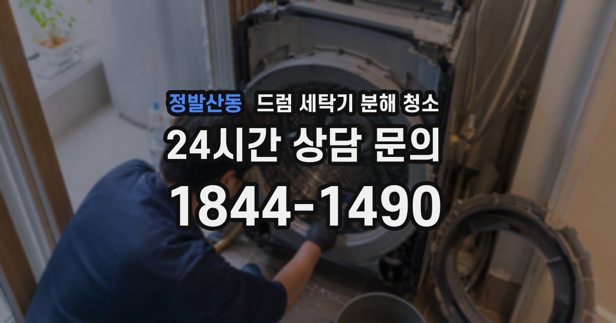정발산동 드럼 세탁기 분해 청소