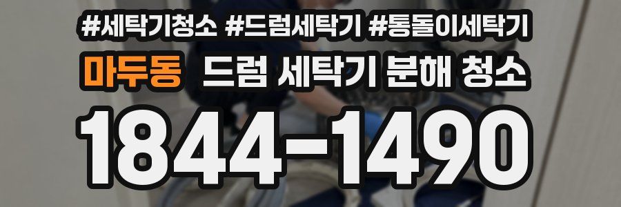 마두동 드럼 세탁기 분해 청소