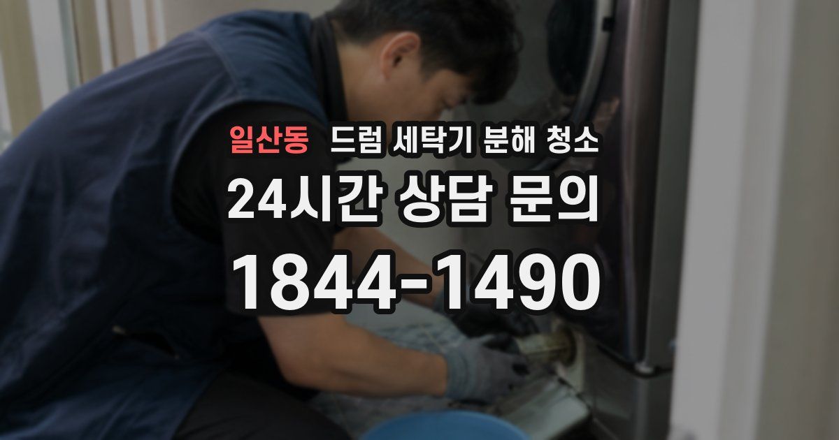 일산동 드럼 세탁기 분해 청소
