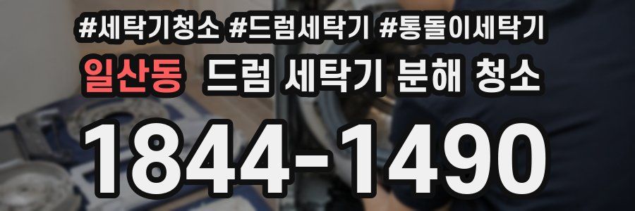 일산동 드럼 세탁기 분해 청소