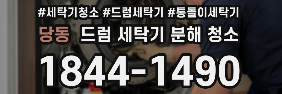 당동 드럼 세탁기 분해 청소