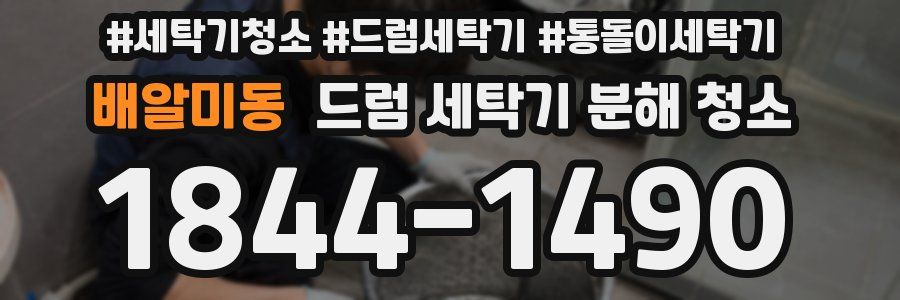 배알미동 드럼 세탁기 분해 청소