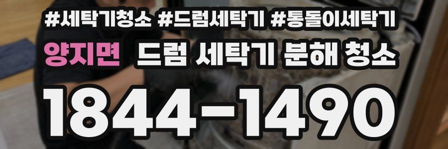 양지면 드럼 세탁기 분해 청소