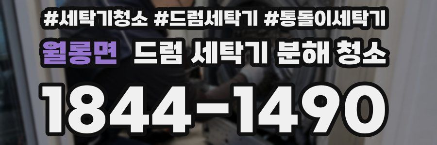 월롱면 드럼 세탁기 분해 청소