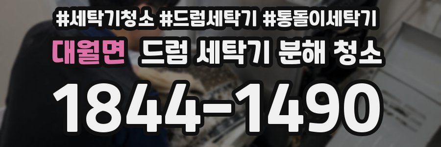 대월면 드럼 세탁기 분해 청소