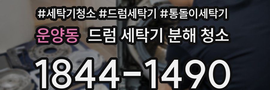 운양동 드럼 세탁기 분해 청소