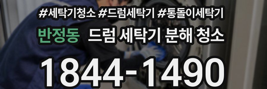 반정동 드럼 세탁기 분해 청소
