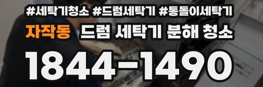 자작동 드럼 세탁기 분해 청소