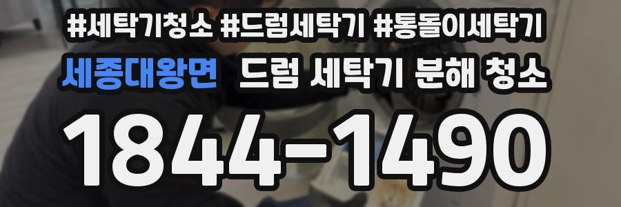 세종대왕면 드럼 세탁기 분해 청소