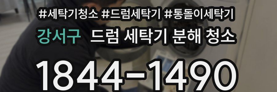 강서구 드럼 세탁기 분해 청소