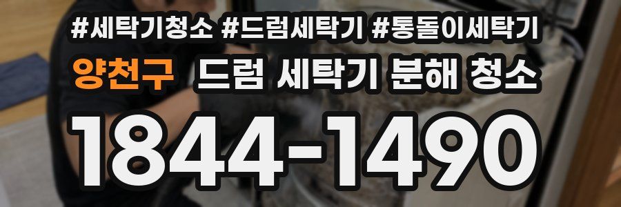 양천구 드럼 세탁기 분해 청소