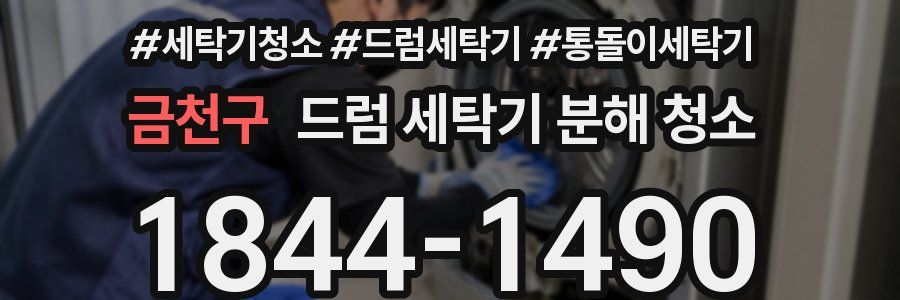 금천구 드럼 세탁기 분해 청소