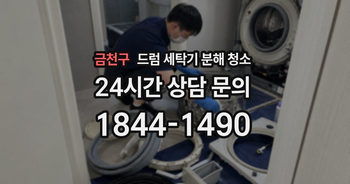 금천구 드럼 세탁기 분해 청소
