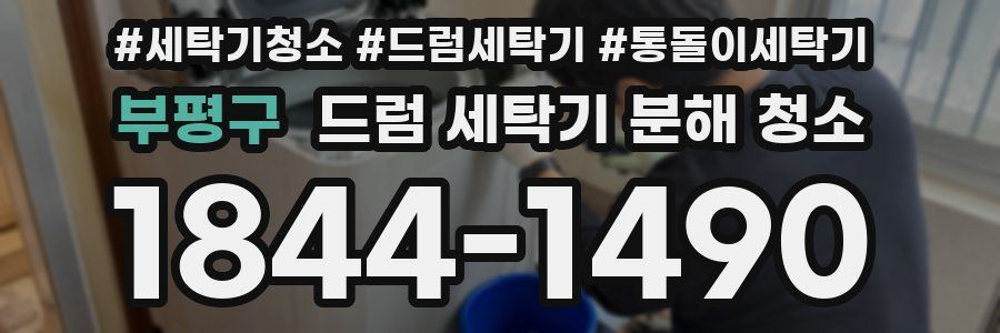 부평구 드럼 세탁기 분해 청소