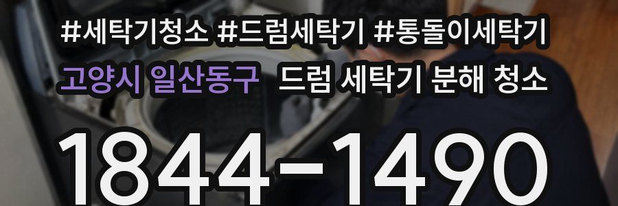 고양시 일산동구 드럼 세탁기 분해 청소