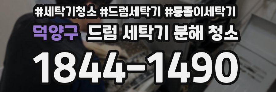 덕양구 드럼 세탁기 분해 청소