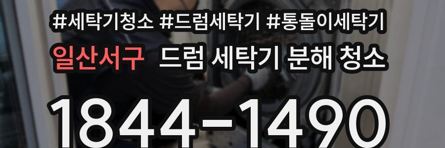 일산서구 드럼 세탁기 분해 청소