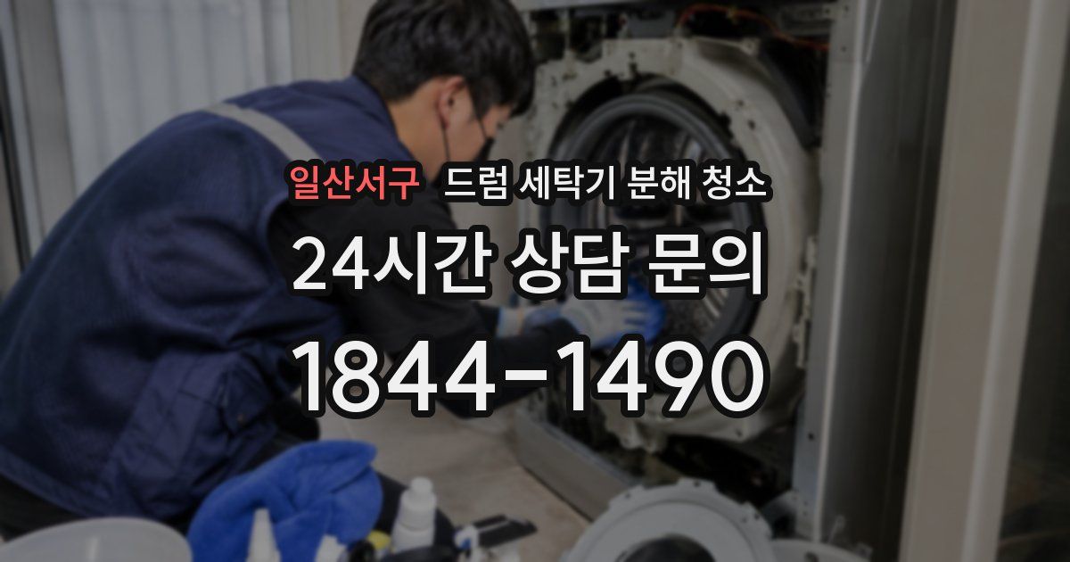 일산서구 드럼 세탁기 분해 청소