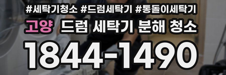 고양 드럼 세탁기 분해 청소
