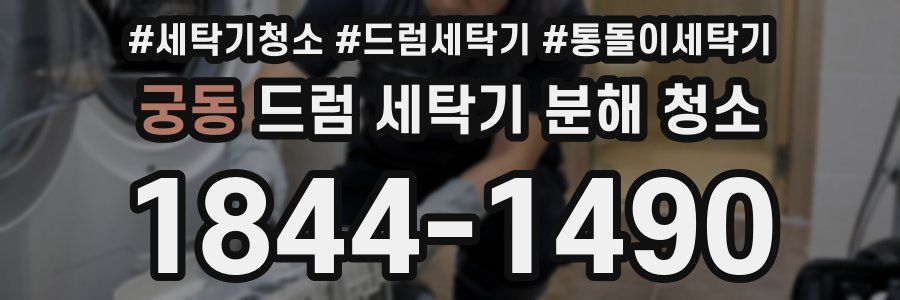 궁동 드럼 세탁기 분해 청소