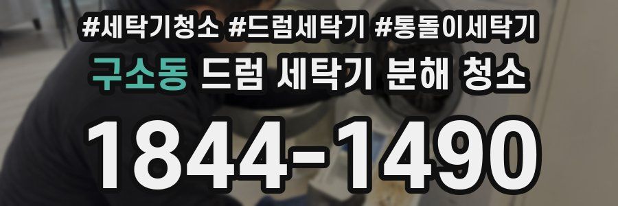 구소동 드럼 세탁기 분해 청소