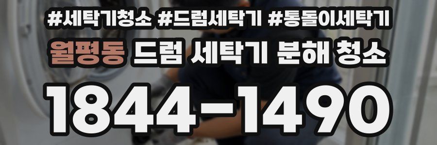 월평동 드럼 세탁기 분해 청소